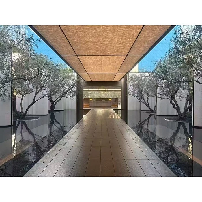 Cây ô liu trồng trong chậu